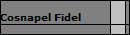 Cosnapel Fidel
